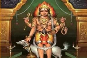 श्री भैरव पञ्जर कवचम्