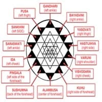 SRI YANTRA - The Whole Universe