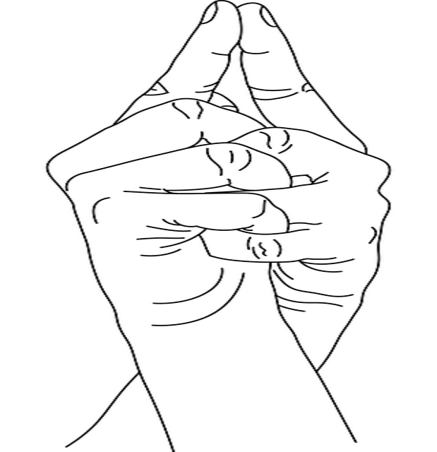 /mudra/samhar.png