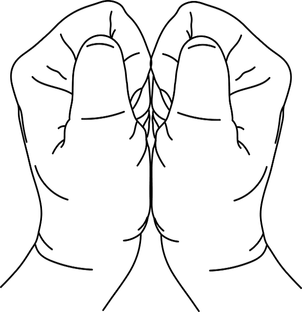 /mudra/sannirodhini.png